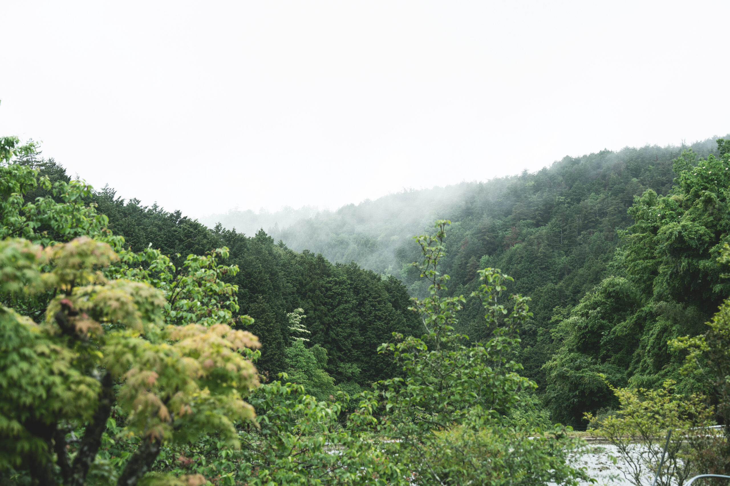 Picture of the garden landscape of  Guesthouse Kannagara located in mountain area in ENA,GIFU